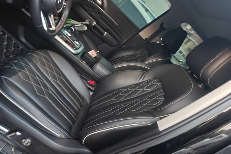 Used Tank 300 2021 2.0T Monet Tribute Limited Edition Left Front Seat