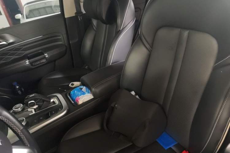 Used Tank 300 2021 Off-Road Edition 2.0T Conqueror Left Front Seat