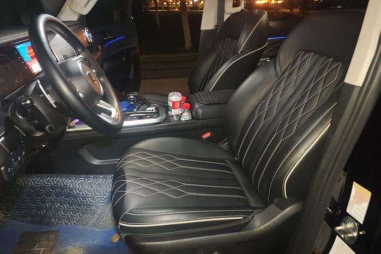 Used Tank 300 2021 Off-Road Edition 2.0T Challenger Left Front Seat