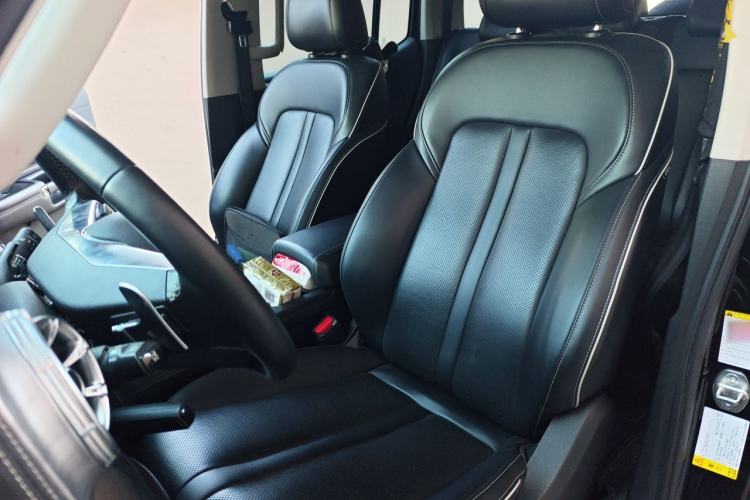 Used Tank 300 2021 City Edition 2.0T—Truly Stylish Left Front Seat