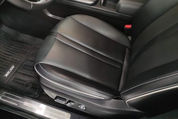 Used Tank 300 2021 Off-Road Edition 2.0T Conqueror Left Front Seat