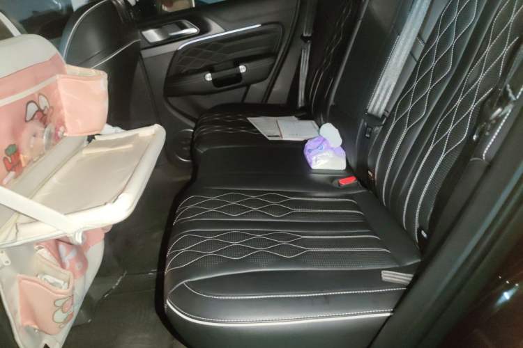 Used Tank 300 2021 City Edition 2.0T My Vision Model Left Rear Seat