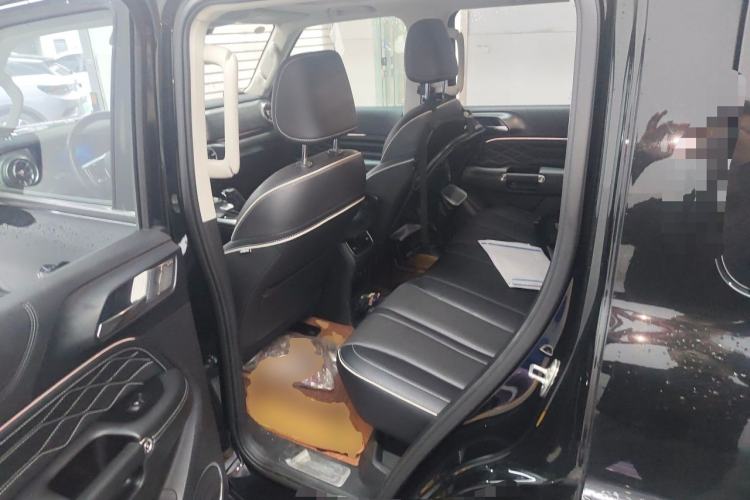 Used Tank 300 2021 City Edition 2.0T—Truly Stylish Left Rear Seat