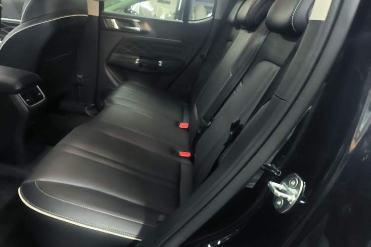 Used Tank 300 2021 Off-Road Edition 2.0T Conqueror Left Rear Seat