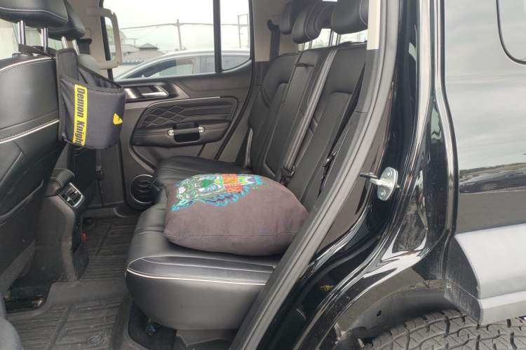 Used Tank 300 2021 Off-Road Edition 2.0T Conqueror Left Rear Seat