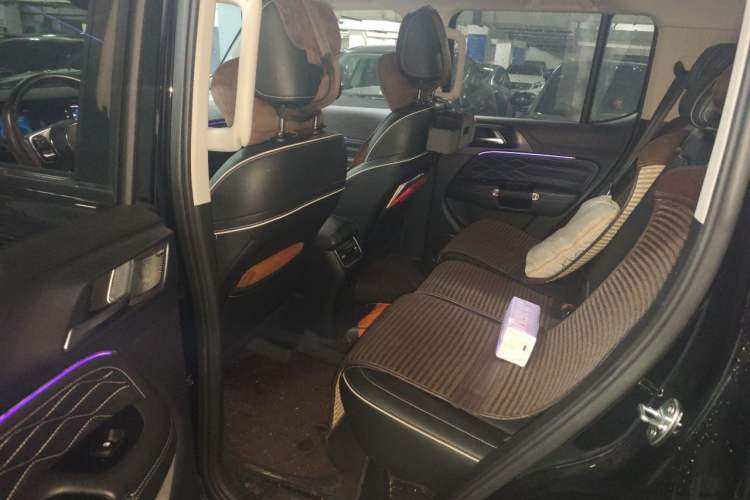 Used Tank 300 2021 City Edition 2.0T—Truly Stylish Left Rear Seat