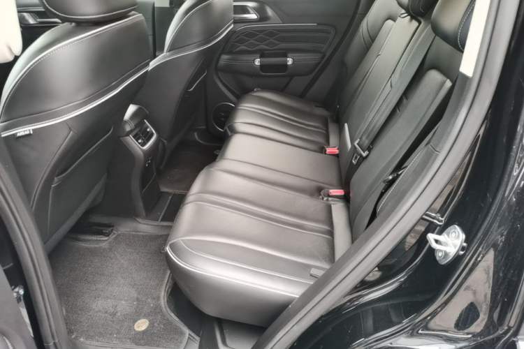 Used Tank 300 2021 City Edition 2.0T—Truly Stylish Left Rear Seat