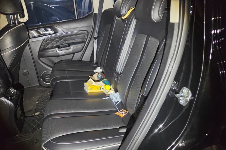 Used Tank 300 2021 City Edition 2.0T—Truly Stylish Left Rear Seat