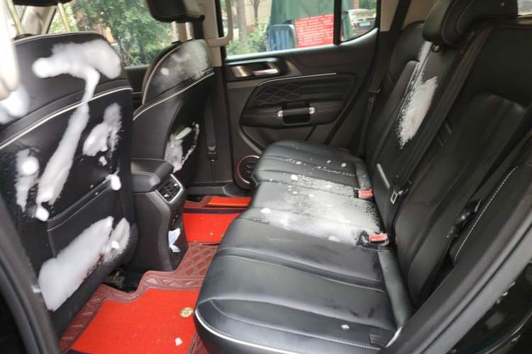 Used Tank 300 2021 Off-Road Edition 2.0T Conqueror Left Rear Seat