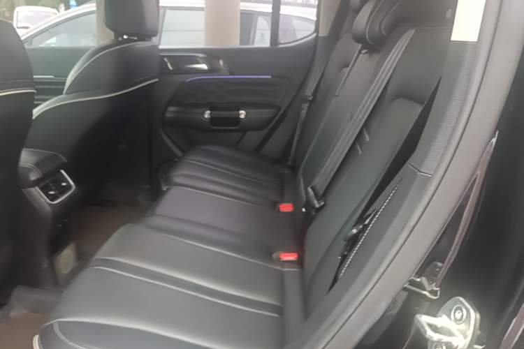 Used Tank 300 2021 City Edition 2.0T—Truly Stylish Left Rear Seat