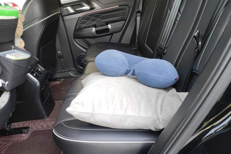 Used Tank 300 2021 City Edition 2.0T—Truly Stylish Left Rear Seat