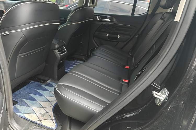 Used Tank 300 2021 City Edition 2.0T—Truly Stylish Left Rear Seat