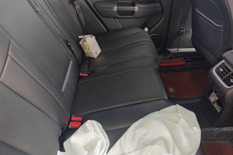Used Tank 300 2021 Off-Road Edition 2.0T Conqueror Left Rear Seat