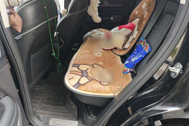 Used Tank 300 2021 City Edition 2.0T—Truly Stylish Left Rear Seat