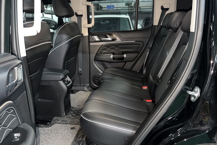 Used Tank 300 2021 City Edition 2.0T—Truly Stylish Left Rear Seat