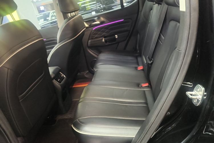 Used Tank 300 2021 Off-Road Edition 2.0T Conqueror Left Rear Seat