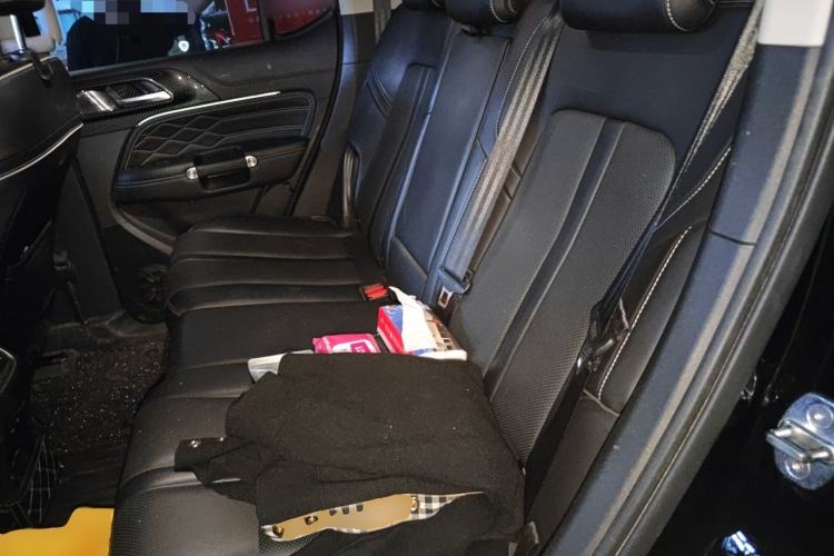 Used Tank 300 2021 Off-Road Edition 2.0T Conqueror Left Rear Seat