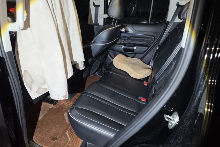 Used Tank 300 2021 Off-Road Edition 2.0T Conqueror Left Rear Seat