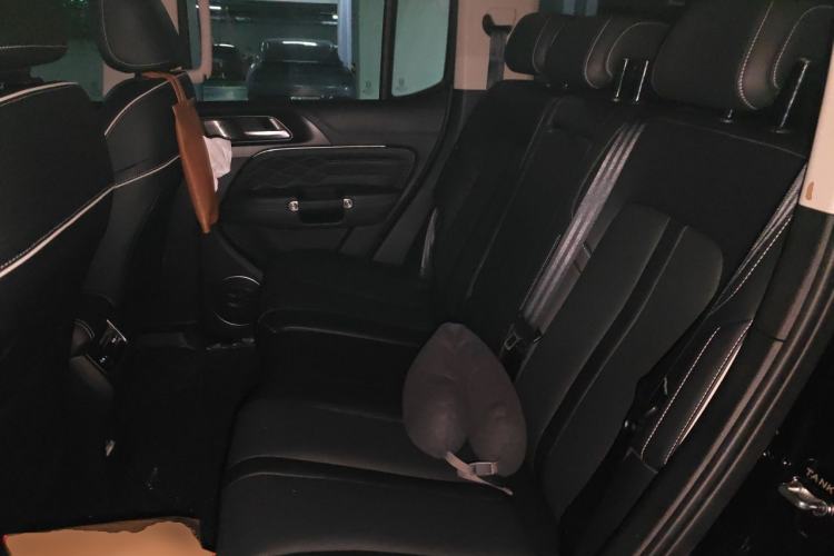 Used Tank 300 2021 City Edition 2.0T Essential Model Left Rear Seat