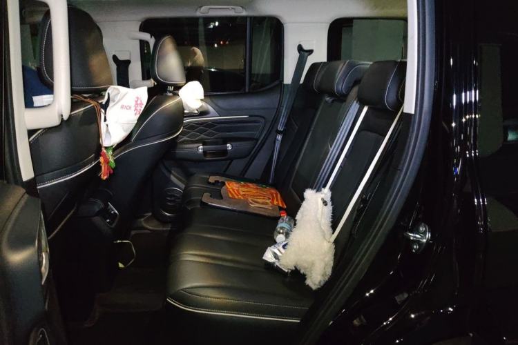 Used Tank 300 2021 City Edition 2.0T—Truly Stylish Left Rear Seat