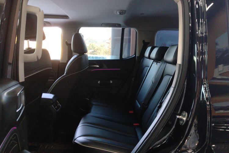 Used Tank 300 2021 City Edition 2.0T—Truly Stylish Left Rear Seat