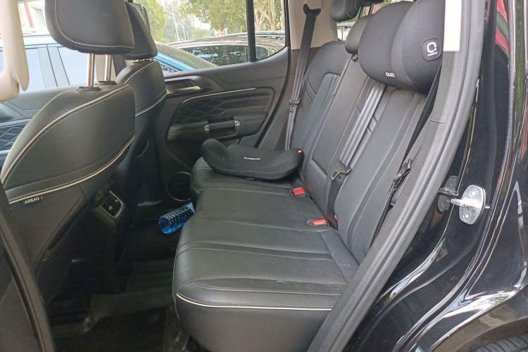Used Tank 300 2021 City Edition 2.0T—Truly Stylish Left Rear Seat