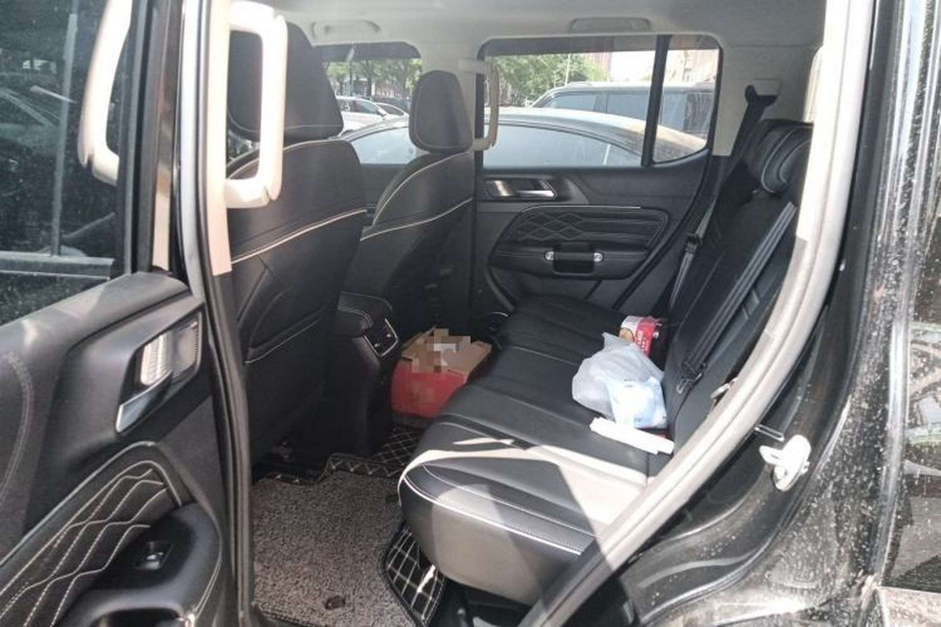 Used Tank 300 2021 City Edition 2.0T—Truly Stylish Left Rear Seat