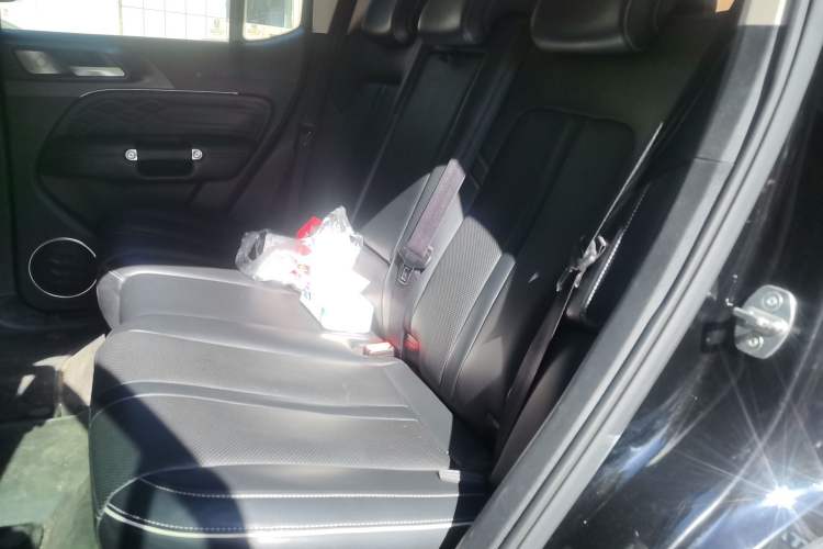 Used Tank 300 2021 Off-Road Edition 2.0T Conqueror Left Rear Seat