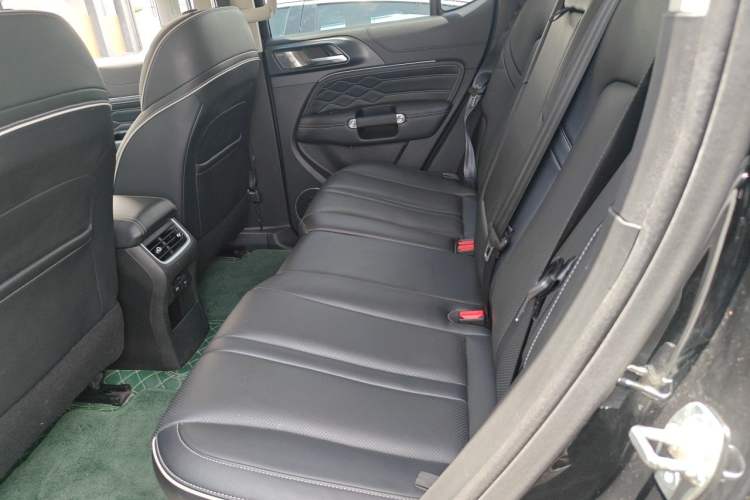 Used Tank 300 2021 City Edition 2.0T—Truly Stylish Left Rear Seat