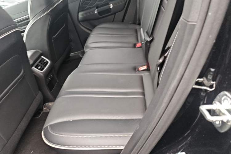 Used Tank 300 2021 City Edition 2.0T—Truly Stylish Left Rear Seat