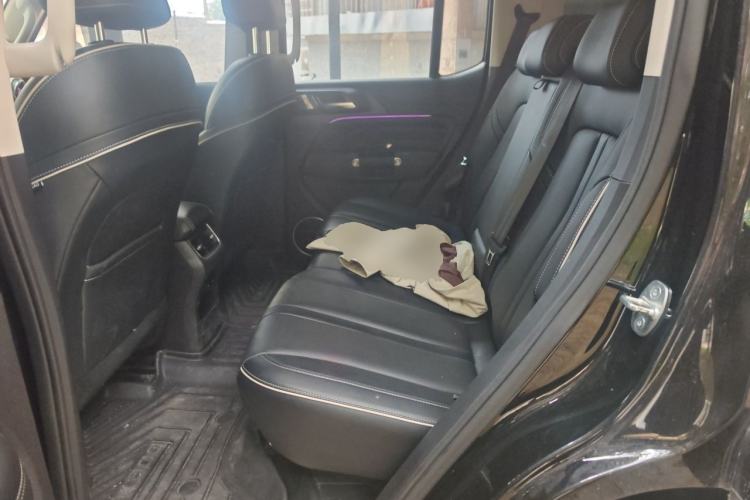 Used Tank 300 2021 City Edition 2.0T Essential Model Left Rear Seat