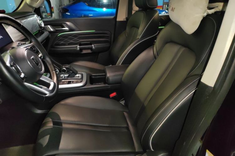 Used Tank 300 2021 City Edition 2.0T Essential Model Left Rear Seat