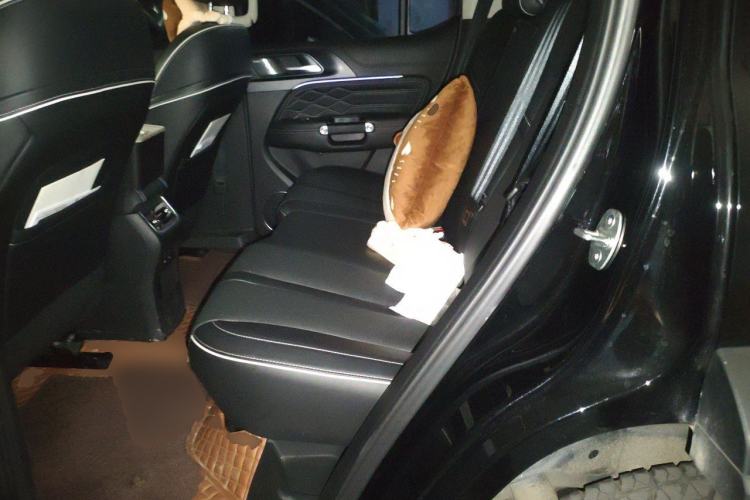 Used Tank 300 2021 Off-Road Edition 2.0T Conqueror Left Rear Seat
