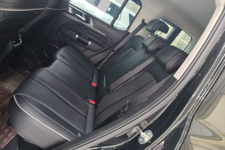 Used Tank 300 2021 Off-Road Edition 2.0T Conqueror Left Rear Seat