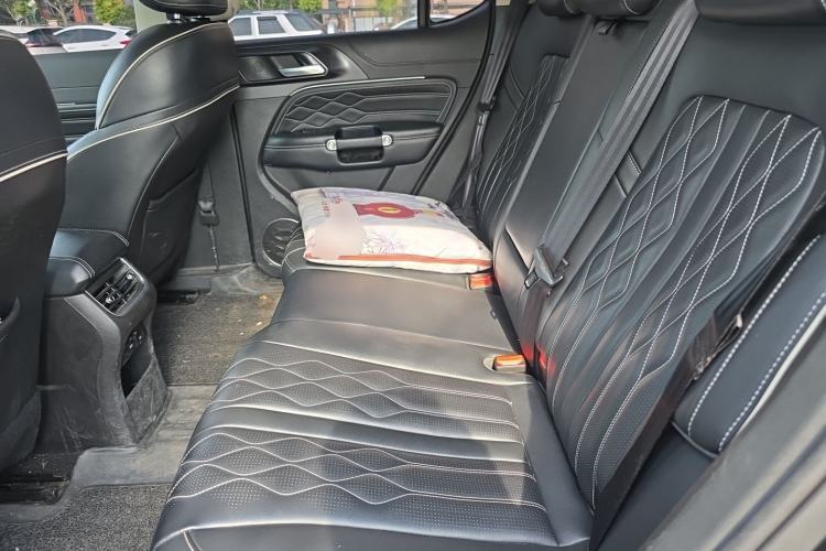 Used Tank 300 2021 Off-Road Edition 2.0T Challenger Left Rear Seat
