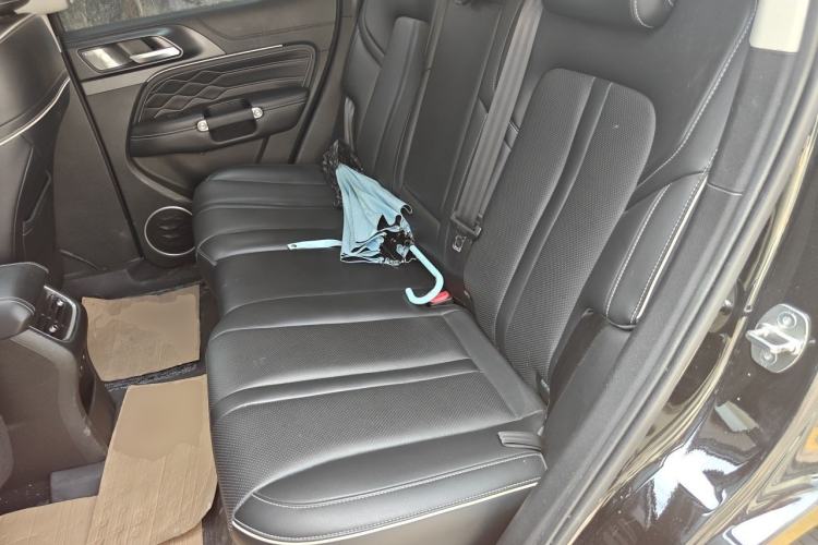 Used Tank 300 2021 Off-Road Edition 2.0T Conqueror Left Rear Seat
