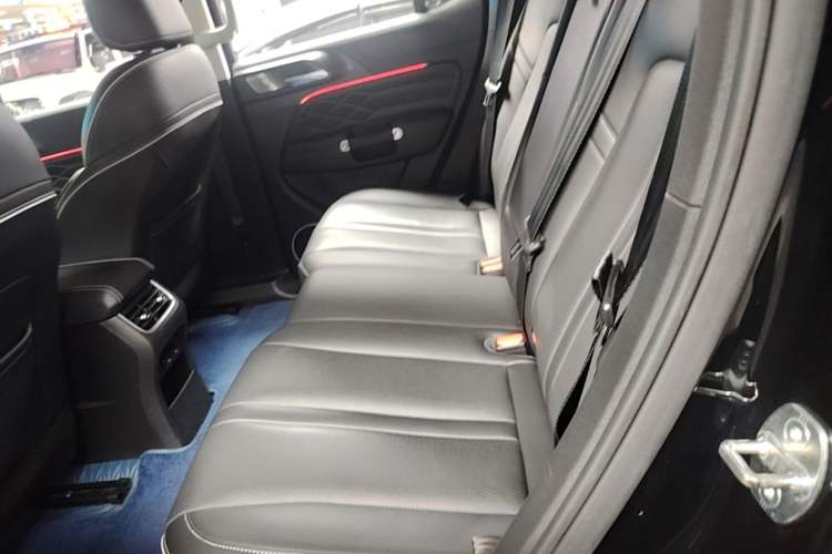 Used Tank 300 2021 Off-Road Edition 2.0T Conqueror Left Rear Seat