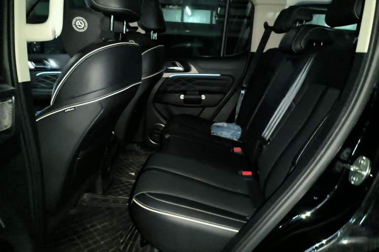 Used Tank 300 2021 Off-Road Edition 2.0T Conqueror Left Rear Seat