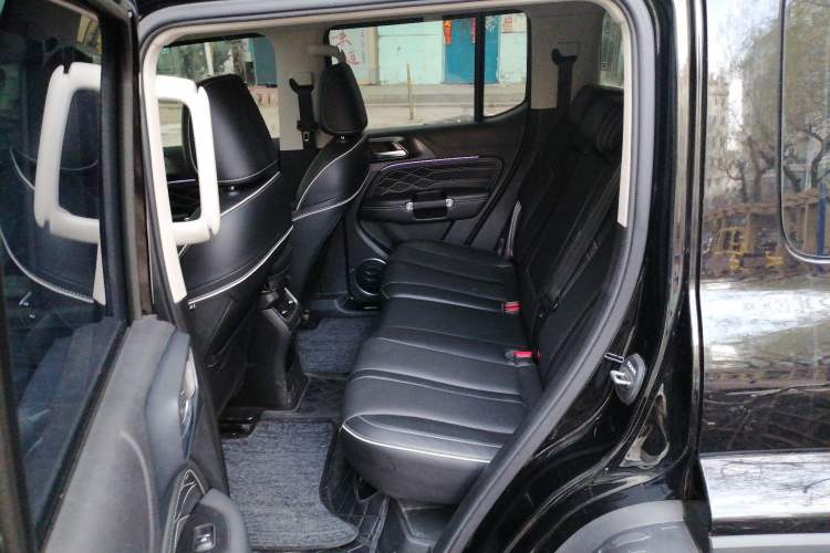 Used Tank 300 2021 City Edition 2.0T—Truly Stylish Left Rear Seat