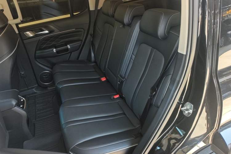 Used Tank 300 2021 City Edition 2.0T—Truly Stylish Left Rear Seat