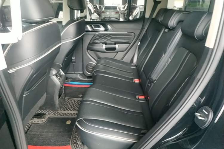 Used Tank 300 2021 Off-Road Edition 2.0T Conqueror Left Rear Seat