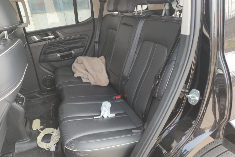 Used Tank 300 2021 City Edition 2.0T—Truly Stylish Left Rear Seat