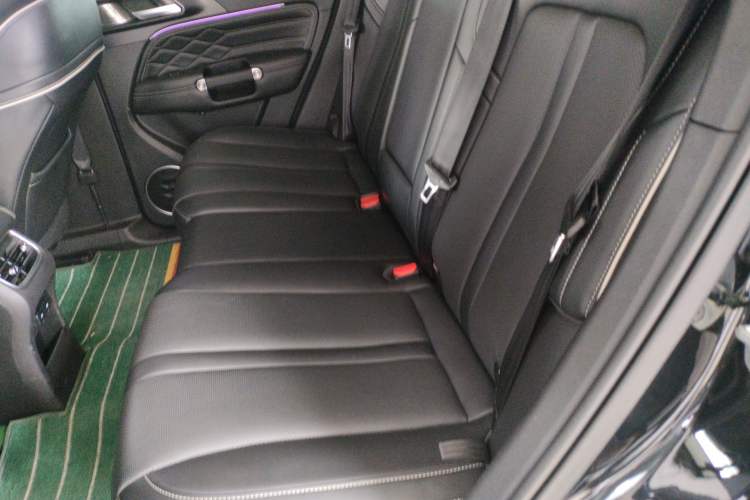 Used Tank 300 2021 City Edition 2.0T Essential Model Left Rear Seat