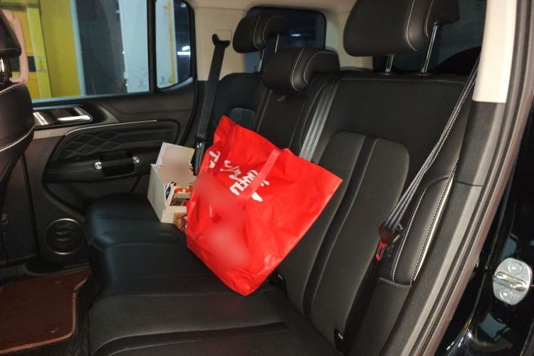 Used Tank 300 2021 City Edition 2.0T—Truly Stylish Left Rear Seat