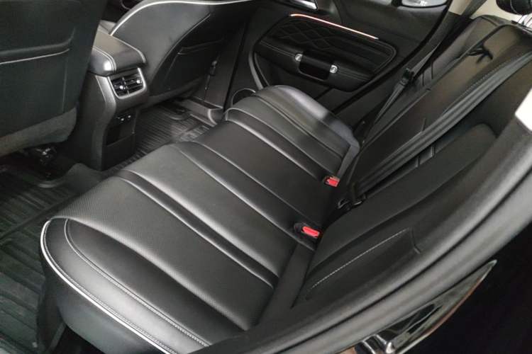 Used Tank 300 2021 Off-Road Edition 2.0T Conqueror Left Rear Seat