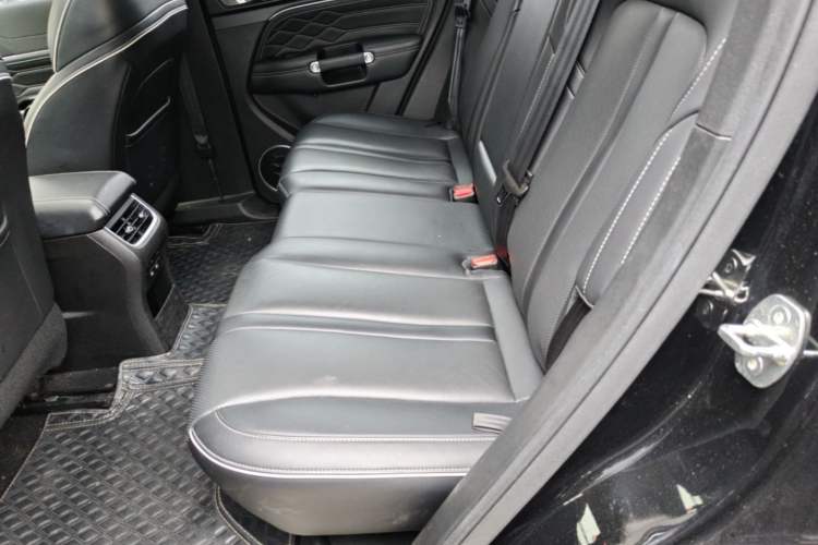 Used Tank 300 2021 City Edition 2.0T—Truly Stylish Left Rear Seat
