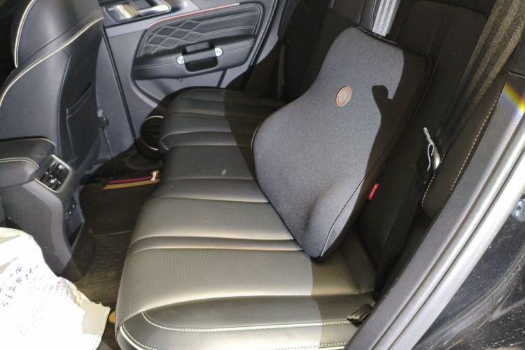 Used Tank 300 2021 Off-Road Edition 2.0T Conqueror Left Rear Seat