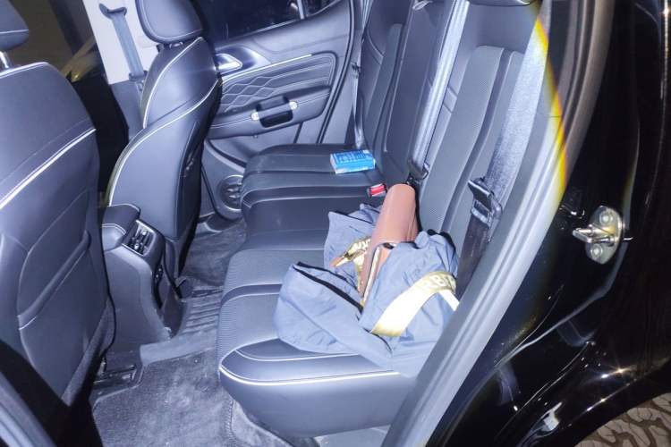 Used Tank 300 2021 Off-Road Edition 2.0T Conqueror Left Rear Seat