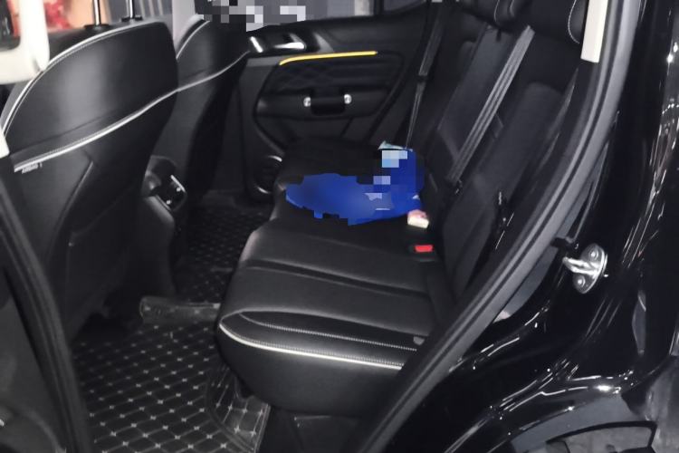 Used Tank 300 2021 Off-Road Edition 2.0T Conqueror Left Rear Seat
