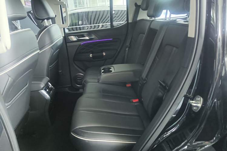 Used Tank 300 2021 Off-Road Edition 2.0T Conqueror Left Rear Seat